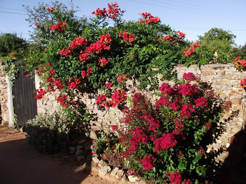 Les Belles Epoques B&B - Piscine - Terrasses - Brumisateurs - Proche Puy Du Fou Saint-Germain-sur-Moine 외부 사진